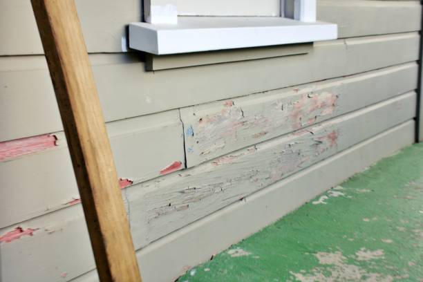 Best Custom Siding Design  in USA